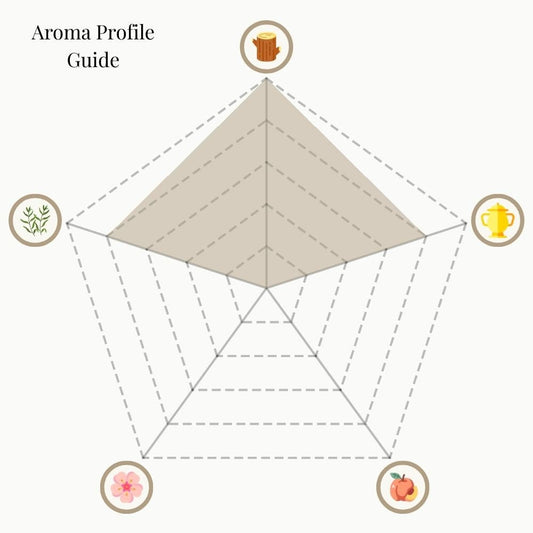 A radar chart titled 'Aroma Profile Guide' for the Earth-Toned Rituals set. The five categories are: Woody & Earthy (top), Mystical & Warm (top right), Sweet & Fruity (bottom right), Floral (bottom left), and Herbal & Minty (top left). The shaded area shows a dominant emphasis on Woody & Earthy, with strong notes of Mystical & Warm and Herbal & Minty, while Floral and Sweet & Fruity are minimal.