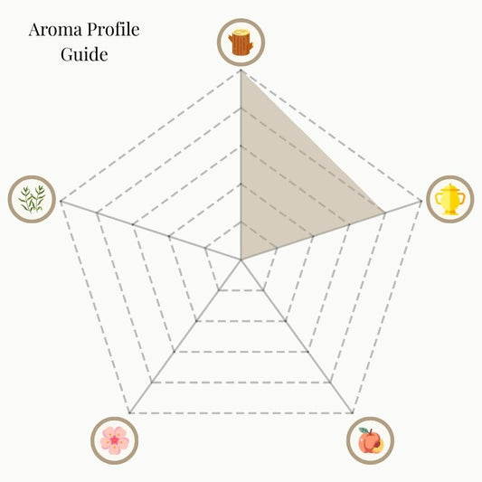 A radar chart titled 'Aroma Profile Guide' for Forest Ritual incense. The five categories are: Woody & Earthy (top), Mystical & Warm (top right), Sweet & Fruity (bottom right), Floral (bottom left), and Herbal & Minty (top left). The shaded area emphasizes strong Woody & Earthy and Mystical & Warm notes, while Sweet & Fruity, Floral, and Herbal & Minty are minimal.