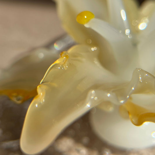 Close-up of a handcrafted lily glass incense holder, highlighting its translucent petals, soft yellow accents, and organic sculptural details.