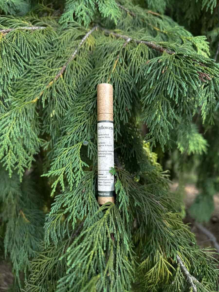 A cylindrical inflowence incense tube, labeled "Forest Ritual," is nestled among the dark green needles of a coniferous tree branch. This product is perfect for forest bathing at home, meditative movement, post-journaling reflection, and creating calm between transitions.