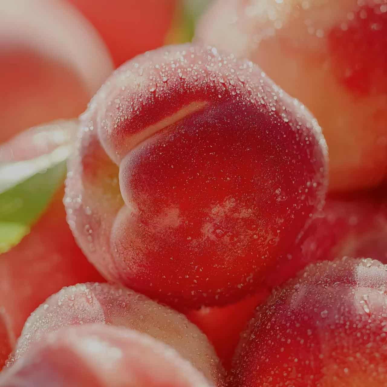 A close-up of several ripe peaches, covered in small water droplets, with a blurred background. The vibrant red and orange hues of the peaches are prominent. The image suggests a scent that is juicy and bright, inspiring warmth, joy, and a welcoming atmosphere.