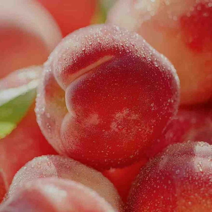 A close-up of several ripe peaches, covered in small water droplets, with a blurred background. The vibrant red and orange hues of the peaches are prominent. The image suggests a scent that is juicy and bright, inspiring warmth, joy, and a welcoming atmosphere.