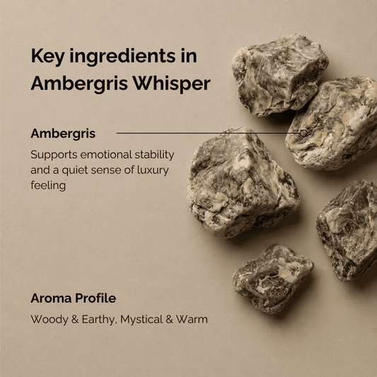 Key ingredients of ambergris incense “Ambergris Whisper”, showing raw ambergris pieces on a soft warm background, illustrating the rich, earthy and warm composition of this botanical incense.