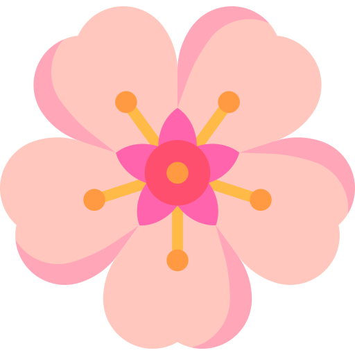 Flat design illustration of a pink cherry blossom flower with five petals and a small central flower surrounded by yellow stamens.