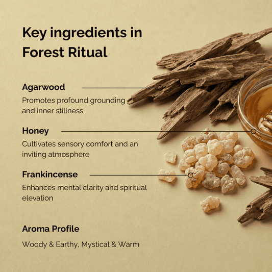 Key ingredients of frankincense incense named “Forest Ritual”, featuring frankincense resin, agarwood pieces, and honey arranged on a soft earthy background, highlighting the woody, warm, and slightly sweet aroma profile of this botanical incense.