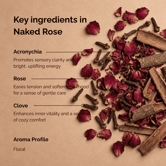 Key ingredients of rose incense named “Naked Rose”, featuring dried rose petals, clove buds, and natural wood elements arranged on a warm peach background, highlighting the floral aroma profile and botanical composition of the incense.
