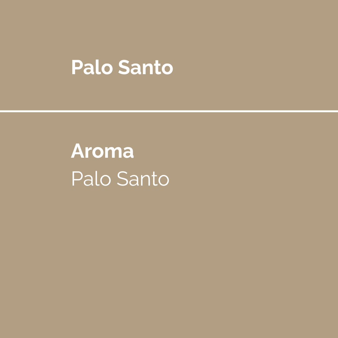 Palo Santo incense product display featuring a solid background with the scent notes: palo santo.