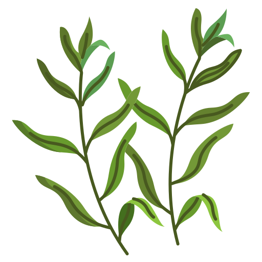 Flat design illustration of two green herb sprigs with slender leaves, resembling tarragon.