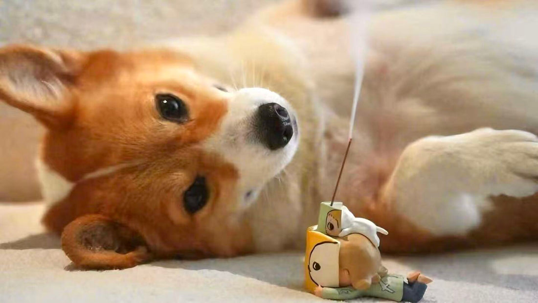 Is Incense Bad for Dogs? | Pet-Safe Scents & Alternatives