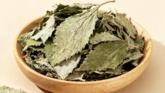 What Is Patchouli? Benefits, Uses & What Patchouli Incense Smells Like