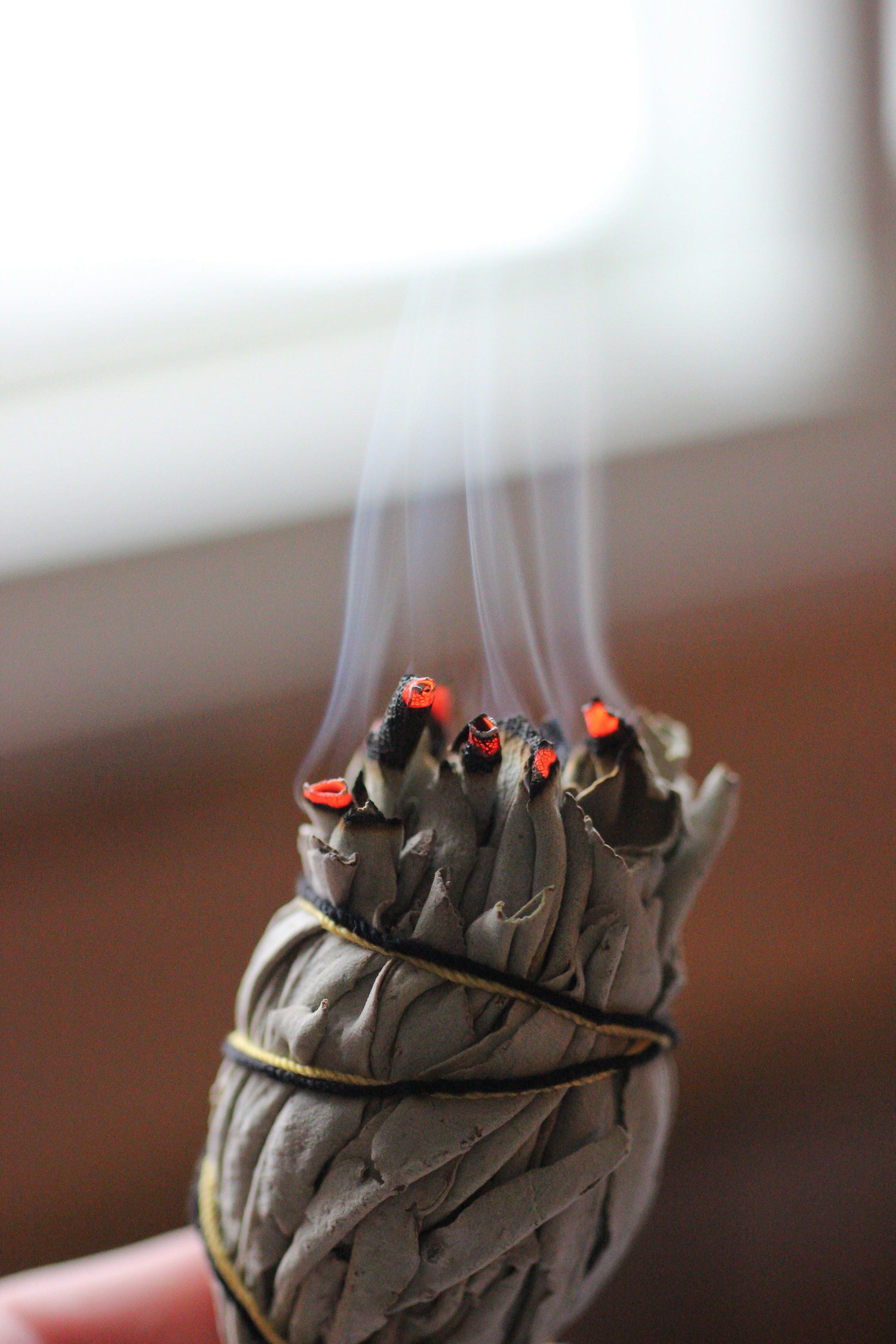 Hand holding a bundle of burning white sage with smoke drifting upward, framed by soft daylight through a window—evoking ritual, cleansing, and calm.