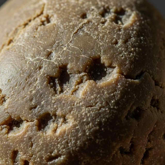 A close-up of a textured, light brown piece of ambergris, with a rough, cracked surface. The image represents a scent that is warm and marine-like, adding depth and comfort to create a luxurious sense of safety.