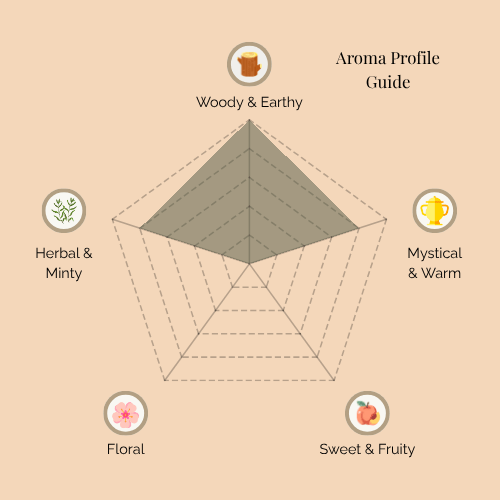 A radar chart titled 'Aroma Profile Guide' for the Earth Toned Ritual set scent. The five categories are: Woody & Earthy (top), Mystical & Warm (top right), Sweet & Fruity (bottom right), Floral (bottom left), and Herbal & Minty (top left). The shaded area shows a strong emphasis on Woody & Earthy, balanced with notable Floral and Sweet & Fruity notes, and lighter hints of Herbal & Minty and Mystical & Warm.