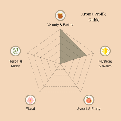 A radar chart titled 'Aroma Profile Guide' for Forest Ritual incense. The five categories are: Woody & Earthy (top), Mystical & Warm (top right), Sweet & Fruity (bottom right), Floral (bottom left), and Herbal & Minty (top left). The shaded area emphasizes strong Woody & Earthy and Mystical & Warm notes, while Sweet & Fruity, Floral, and Herbal & Minty are minimal.