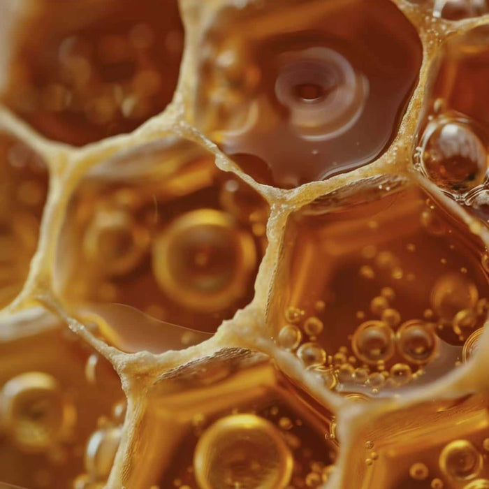 A close-up of a honeycomb, with glistening golden honey filling the hexagonal cells. The image captures a texture and scent that is golden and smooth, softening the mood and adding a sense of gentle care.