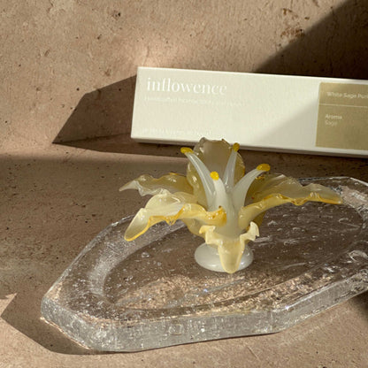 Handcrafted lily glass incense holder resting on a clear glass ash catcher, displayed with inflowence incense packaging in warm natural light.