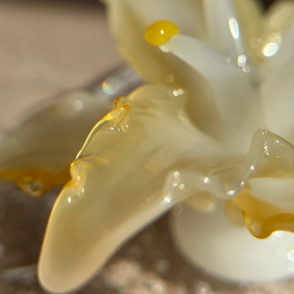 Close-up of a handcrafted lily glass incense holder, highlighting its translucent petals, soft yellow accents, and organic sculptural details.