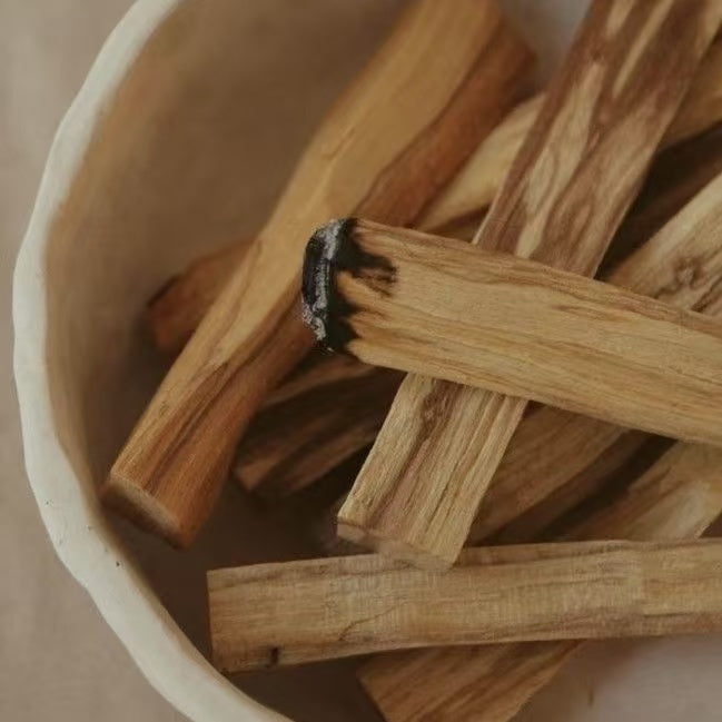 A close-up, top-down view of several light-colored palo santo sticks resting in a simple, off-white bowl. One stick has a dark, charred end. The image represents a scent that is sweet and resinous, used to clear stagnant energy and invite a sense of sacred renewal.