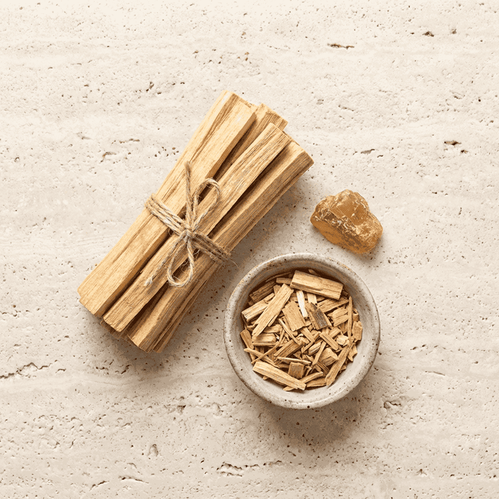 palo santo wood sticks with natural grain and rough cut edges arranged on a ceramic plate in soft warm light, a key ingredient used in inflowence palo santo incense