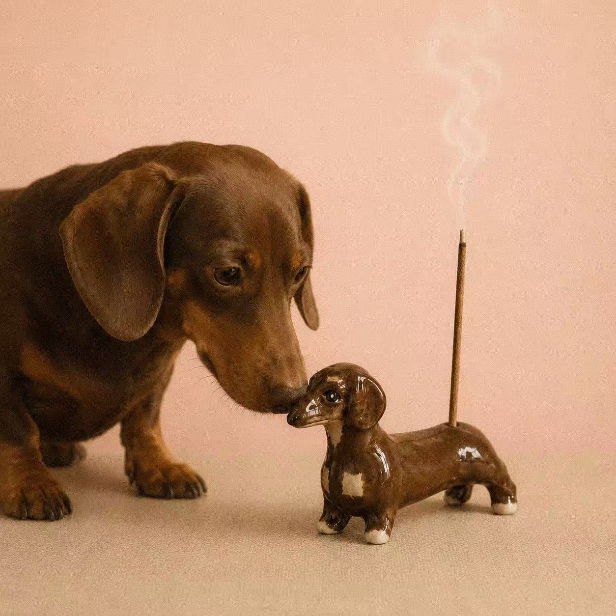 Sausage Dog Incense Holder displayed beside a real dachshund, showing the hand-painted ceramic incense holder shaped like a dachshund with a lit incense stick and soft smoke against a blush pink background.