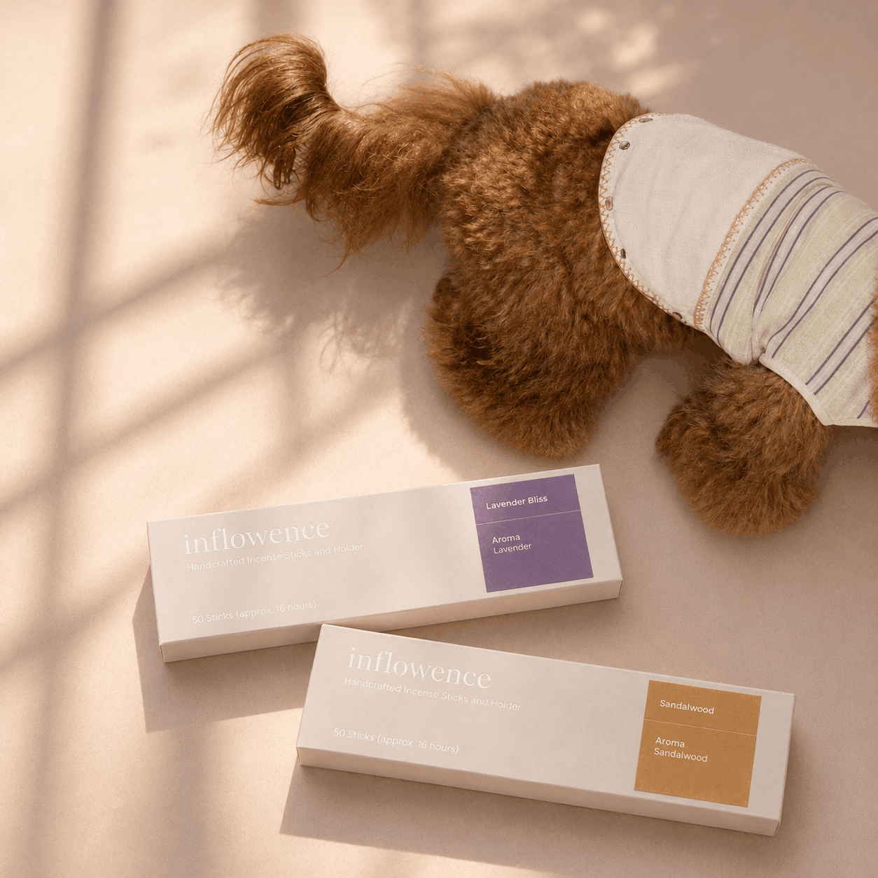 Top picks for dog households on the sensitive homes incense page, showing a small dog resting beside Inflowence Lavender Bliss lavender incense and Sandalwood incense boxes in warm natural light, curated for gentle home rituals in pet-conscious spaces.