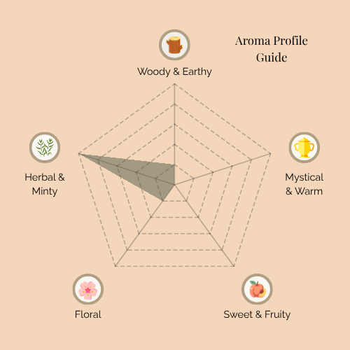 A radar chart titled 'Aroma Profile Guide' for White Sage Purity incense. The five categories are: Woody & Earthy (top), Mystical & Warm (top right), Sweet & Fruity (bottom right), Floral (bottom left), and Herbal & Minty (top left). The shaded area emphasizes a strong Herbal & Minty note, with moderate Woody & Earthy and light Floral, while Mystical & Warm and Sweet & Fruity remain minimal.