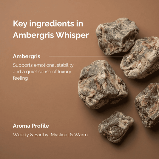 Ambergris stones on a brown background with text about ambergris incense and its properties.