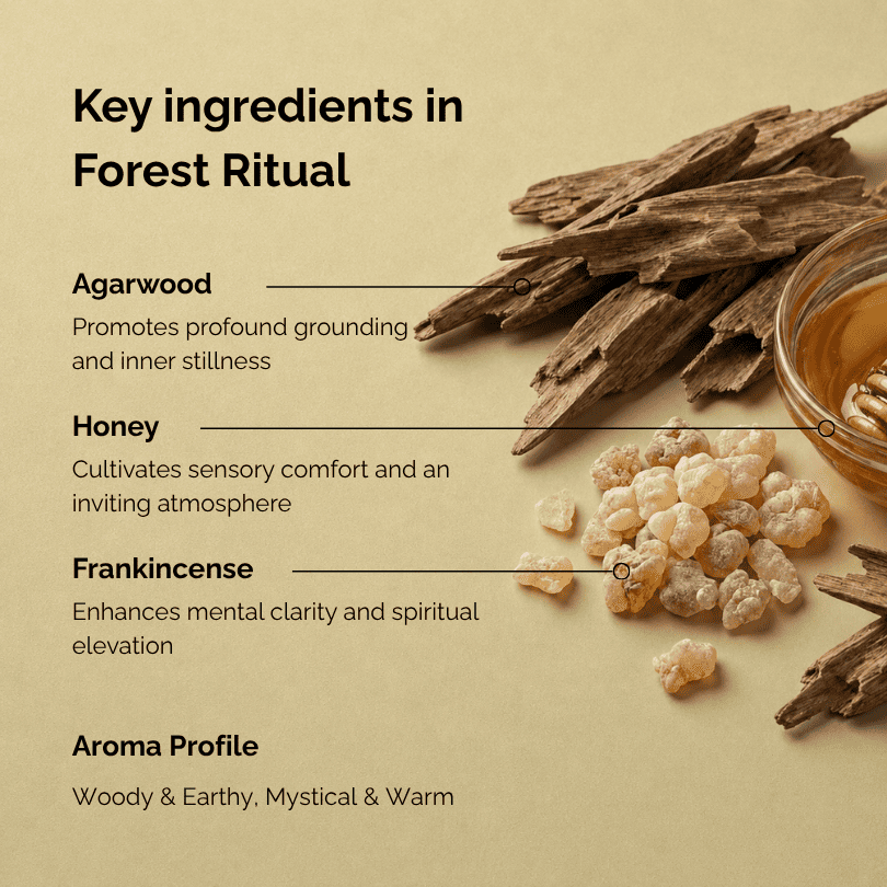 Key ingredients of frankincense incense named “Forest Ritual”, featuring frankincense resin, agarwood pieces, and honey arranged on a soft earthy background, highlighting the woody, warm, and slightly sweet aroma profile of this botanical incense.