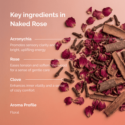 Key ingredients of rose incense named “Naked Rose”, featuring dried rose petals, clove buds, and natural wood elements arranged on a warm peach background, highlighting the floral aroma profile and botanical composition of the incense.