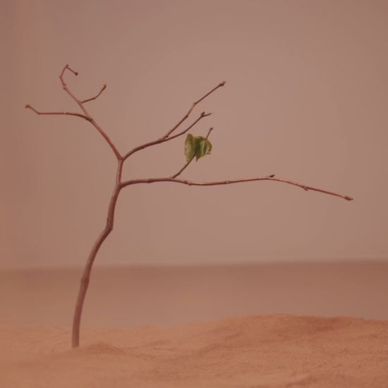 A delicate branch stands alone in soft sand as grains fall gently from above — evoking the quiet solitude and grounding energy of Ambergris Whisper incense. A visual meditation on emotional reset, inner stillness, and silent presence.