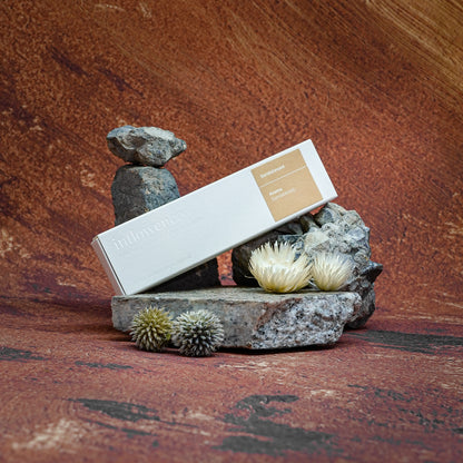 Sandalwood incense box resting on rocks in front of a Grand Canyon-inspired oil painting backdrop, symbolizing spiritual cleansing and energy renewal with natural serenity and earthy calm.