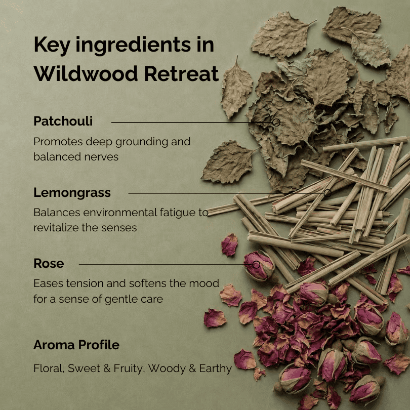 Key ingredients of patchouli incense named “Wildwood Retreat”, featuring dried patchouli leaves, lemongrass, rose petals, and incense sticks arranged on a deep green background, highlighting the earthy, woody, and softly floral aroma profile of this botanical incense.